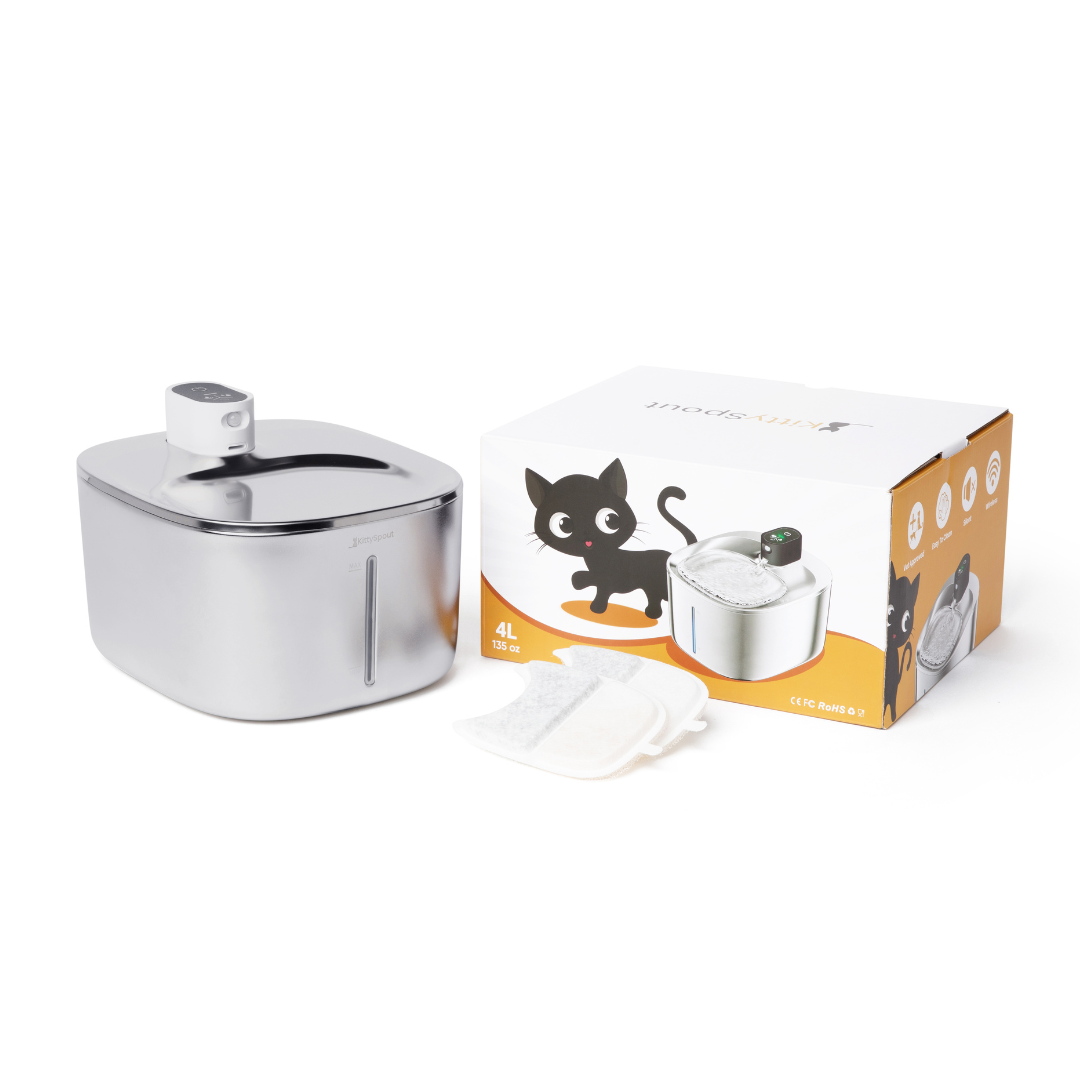 KočkaVoda – Tichá fontána pro zdraví a přirozené pití